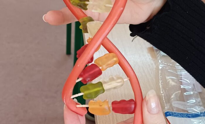 PHOTO-2024-11-12-17-09-53 3