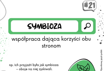 Zrzut ekranu 2026-02-18 o 15.20.38 Zrzut ekranu 2026-02-18 o 15.20.38